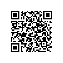 項目案例：中大國際