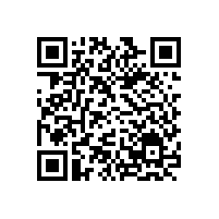 厚街保安公司淺談?dòng)?guó)的“公民衛(wèi)士”