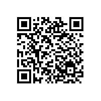 竊賊，你當東莞中堂保安公司的保安是擺設嗎？