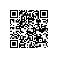 聊城体育馆天沟融雪