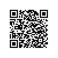 辦公椅直銷廠家之老板辦公椅篇【碧江家具】