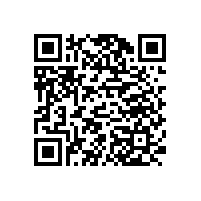 老板辦公椅廠家，24H交貨哪個廠家能這么快？碧江家具