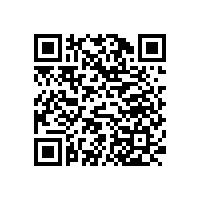 上海辦公椅采購，以匠心態度成就美好坐感【碧江家具】