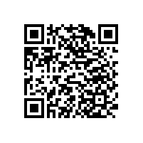 上海辦公椅公司哪家好【碧江家具】
