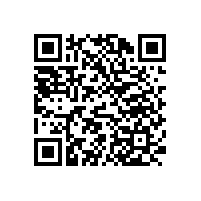 上海實木家具辦公桌 廠家【碧江家具】