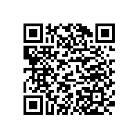 現代簡約辦公椅，招財貓款式老板椅【碧江家具】