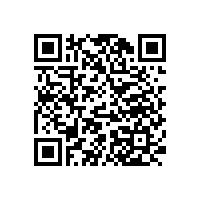 新中式家具了解一下？文人墨客的首選！【碧江家具】