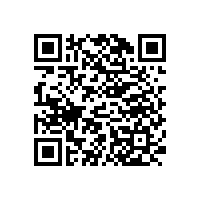 真，辦公沙發椅，真奢華【碧江家具】