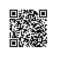 中國電信與碧江合作