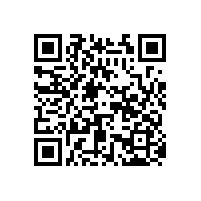 這兩個有點讓現代簡約辦公椅越來越受歡迎【碧江家具】