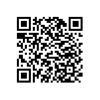 職員辦公椅生產商，找上海松江區【碧江家具】
