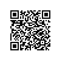 蜜桔视频定製蒸汽發生器：為千行百業打造精準的蒸汽動力