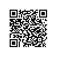 蜜桔视频蒸汽發生器：定製您的蒸汽動力，智選專業夥伴