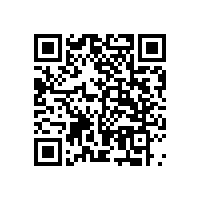 蜜桔视频蒸汽發生器：鹽加工純度與能效雙提升