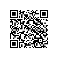 1.6mpa儲氣罐快開手孔標(biāo)準(zhǔn)圖