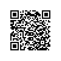 毅廷喇叭的設計中音喇叭