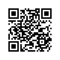 DS是什么？DS喇叭是什么意思