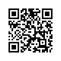 DS揚聲器是什么意思？揚聲器上印有DS