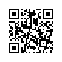 藍牙音箱喇叭的磁路系統結構