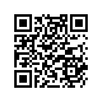 藍牙音箱喇叭中盆架的作用