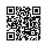 毅廷喇叭廠家~?喇叭中的二路分音