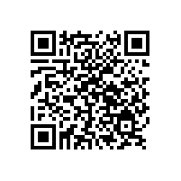 2018春節假期前夕銀箭鋁銀漿物流基本停止發貨