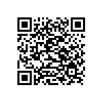 祝賀山東銀箭集團SAP項目正式上線