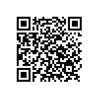 巴斯夫推出兩款新型金色和褐色內飾效應顏料