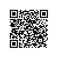 保證鋁銀漿質量是公司發展的根本