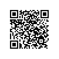 從鋁銀漿角度看汽車漆產業正向兩極化發展