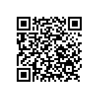 當出現物流問題時銀箭鋁銀漿工作人員會如何做？