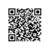 電動(dòng)車噴漆用閃光型鋁銀漿銀箭完全勝任