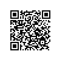 電動車噴涂用涂料鋁粉首選銀箭