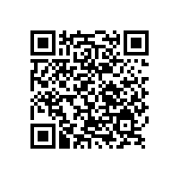 黨的光輝照我心——銀箭鋁銀漿不忘初心、砥礪前行