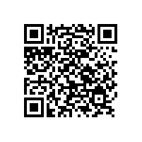 定個小目標之銀箭鋁銀漿