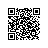 端午節  銀箭包粽子比賽開始了