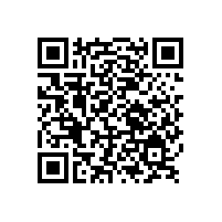 高端輪轂電鍍銀產品——銀箭鋁銀漿客戶立邦全新推出