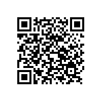 寒冬下銀箭油墨用鋁銀漿客戶參觀章丘金屬顏料