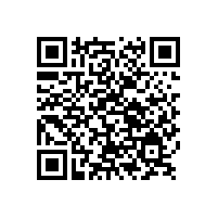 火辣7月銀箭鋁銀漿ZNA-110熱銷阿聯(lián)酋