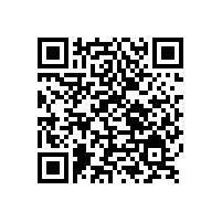 客戶相信銀箭閃光鋁銀漿是鋁銀漿行業(yè)的產(chǎn)品