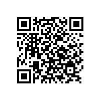 落后就要挨打，這句話在鋁銀漿行業被深深印證