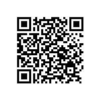 鋁銀漿在涂料領域的創新應用與魅力展現