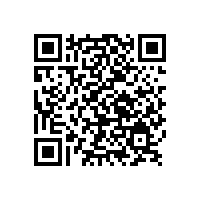 鋁銀漿在涂料中可以被取代嗎？