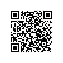 您的認可是我們一致的追求——銀箭鋁銀漿業務員感悟