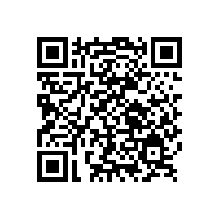 皮革加工客戶認購銀箭閃光型鋁銀漿