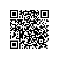 氣霧劑用鋁銀漿不選山東銀箭的選誰的？！