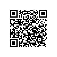 日系仿電鍍鋁銀漿在華優勢受到銀箭品牌產品挑戰