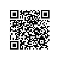 山東銀箭金屬顏料公示公告