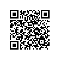 山東銀箭金屬顏料行業(yè)的卓越企業(yè)