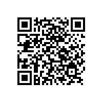 山東銀箭金屬顏料有限公司新型彩色效果顏料生產(chǎn)項目（一期） 環(huán)境影響報告書（征求意見稿）公開信息